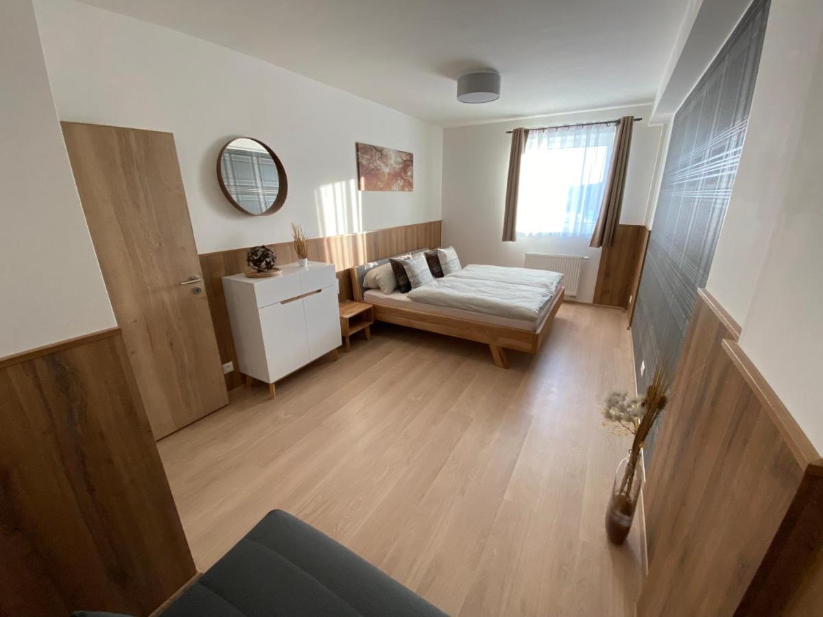 Apartment Petra Klinovec Loucna pod Klinovcem Exterior photo
